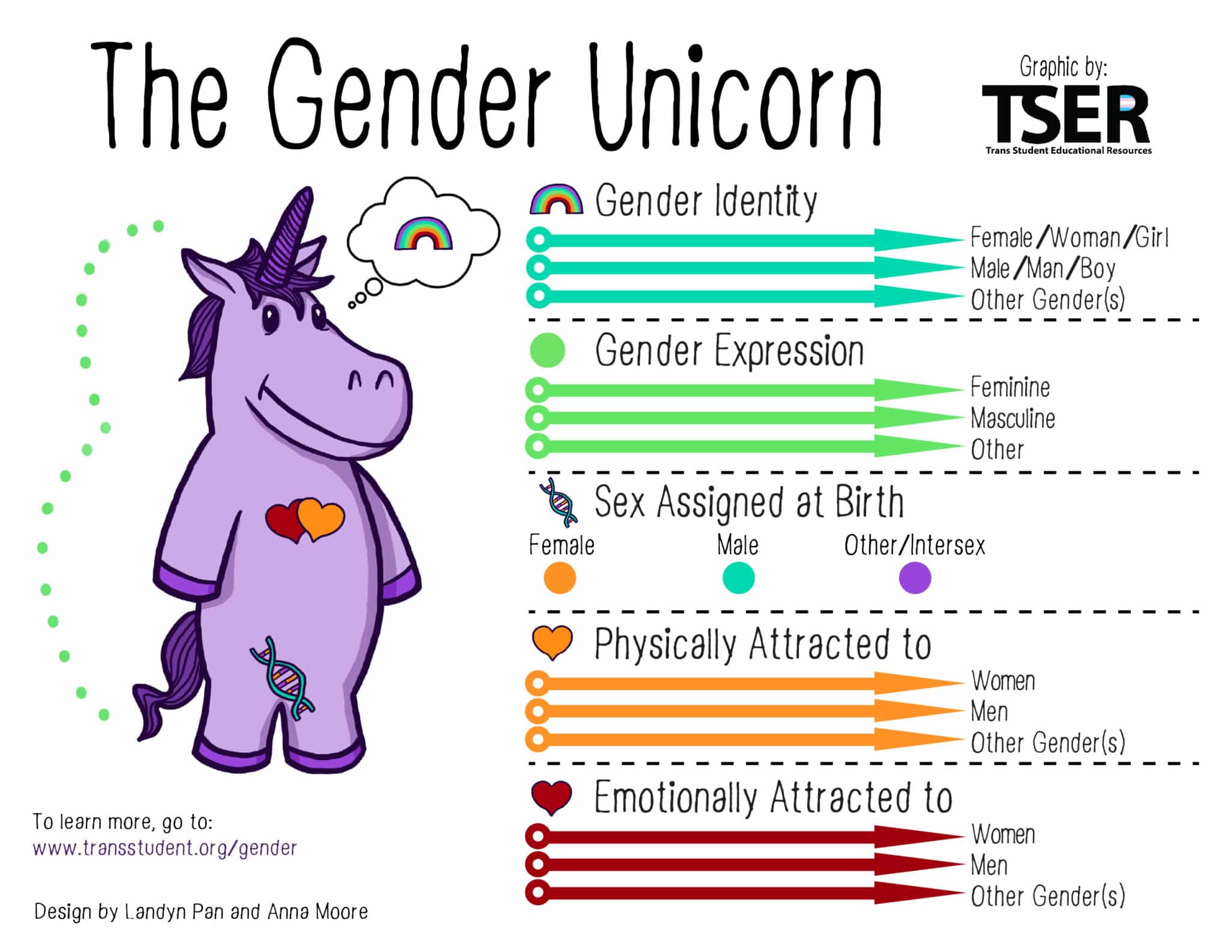 TSER's The Gender Unicorn Graphic - explaining the differences between gender identity, expression, sex assigned at birth, and physical vs emotional attraction.